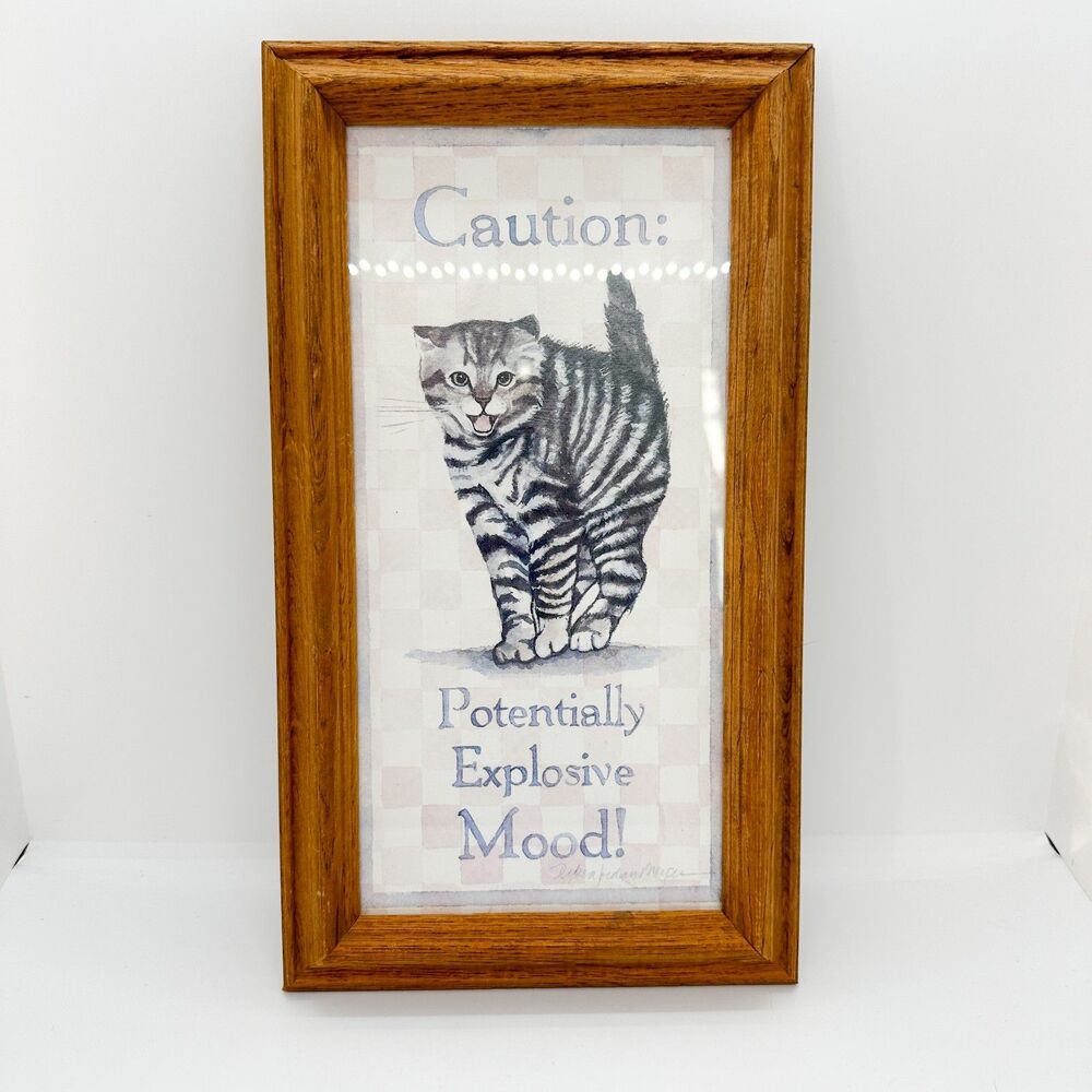 Vintage Figi Graphics Framed Cat Print Explosive Mood Art